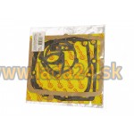 Tesnenie prevodovky sada